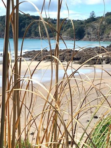 Oneroa Bay Villa Waiheke Экстерьер фото